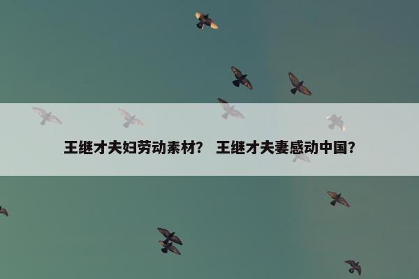 王继才夫妇劳动素材？ 王继才夫妻感动中国？