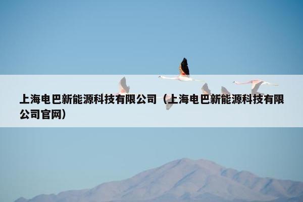 上海电巴新能源科技有限公司（上海电巴新能源科技有限公司官网）