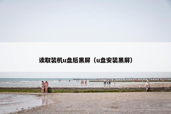 读取装机u盘后黑屏（u盘安装黑屏）