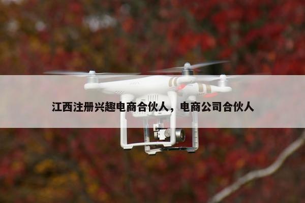 江西注册兴趣电商合伙人，电商公司合伙人
