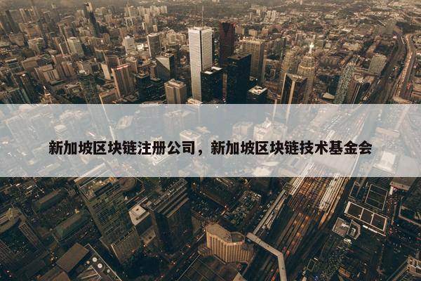 新加坡区块链注册公司，新加坡区块链技术基金会