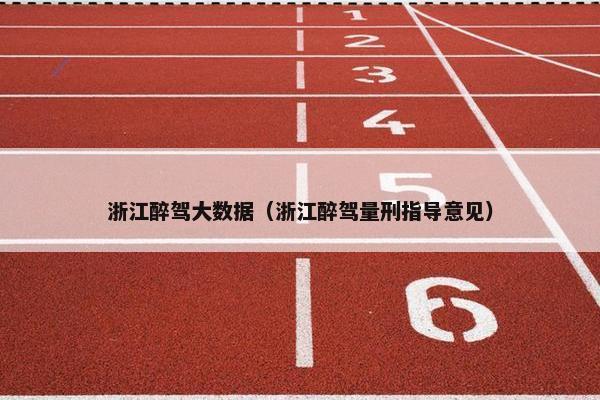 浙江醉驾大数据（浙江醉驾量刑指导意见）