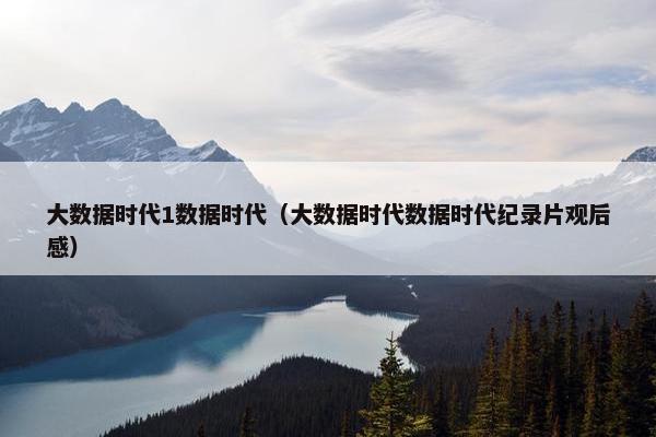 大数据时代1数据时代（大数据时代数据时代纪录片观后感）