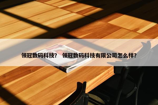 领冠数码科技？ 领冠数码科技有限公司怎么样？