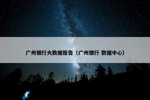 广州银行大数据报告（广州银行 数据中心）