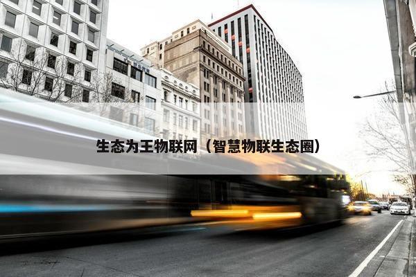 生态为王物联网（智慧物联生态圈）