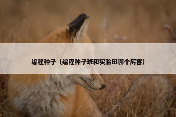 编程种子（编程种子班和实验班哪个厉害）