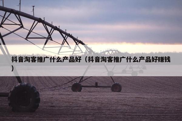 抖音淘客推广什么产品好（抖音淘客推广什么产品好赚钱）