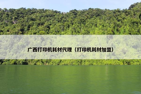 广西打印机耗材代理（打印机耗材加盟）