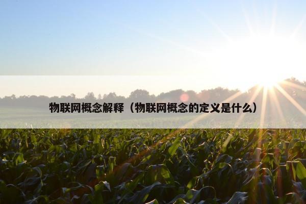物联网概念解释（物联网概念的定义是什么）