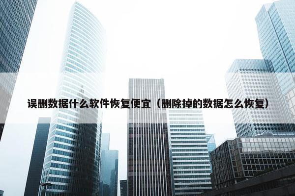 误删数据什么软件恢复便宜（删除掉的数据怎么恢复）