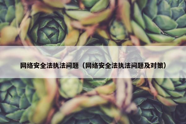 网络安全法执法问题（网络安全法执法问题及对策）