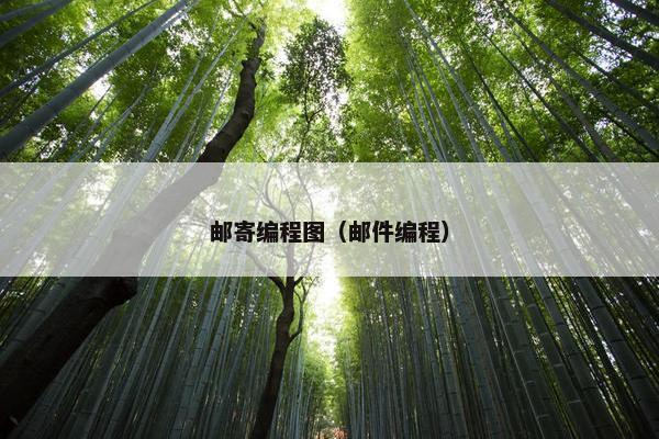 邮寄编程图（邮件编程）