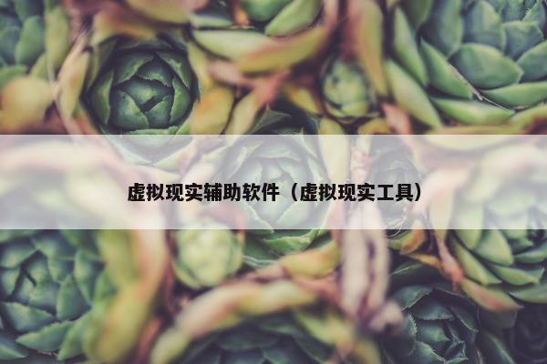 虚拟现实辅助软件（虚拟现实工具）