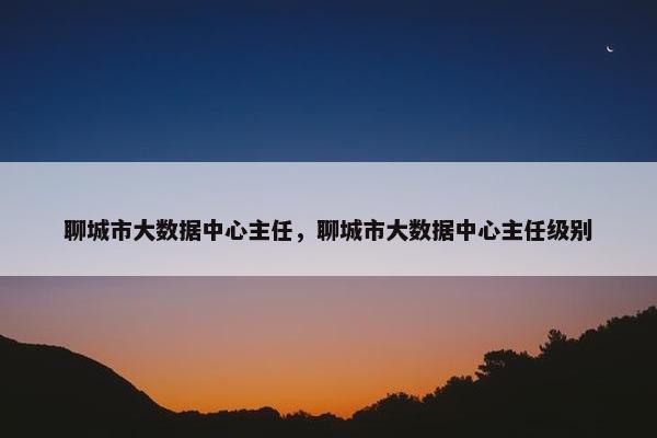 聊城市大数据中心主任，聊城市大数据中心主任级别