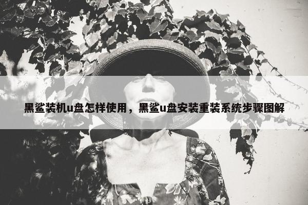 黑鲨装机u盘怎样使用，黑鲨u盘安装重装系统步骤图解