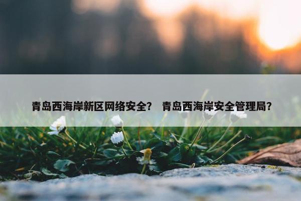 青岛西海岸新区网络安全？ 青岛西海岸安全管理局？