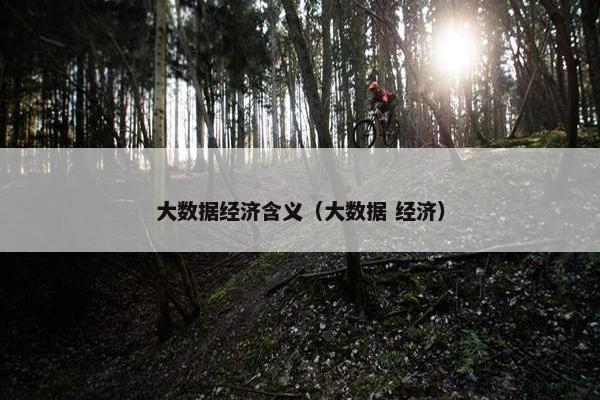 大数据经济含义（大数据 经济）