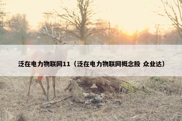 泛在电力物联网11（泛在电力物联网概念股 众业达）