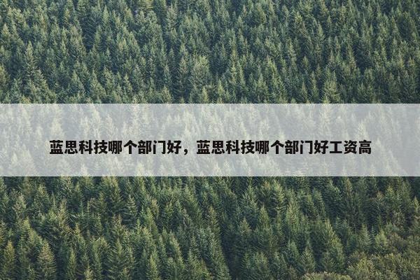 蓝思科技哪个部门好，蓝思科技哪个部门好工资高
