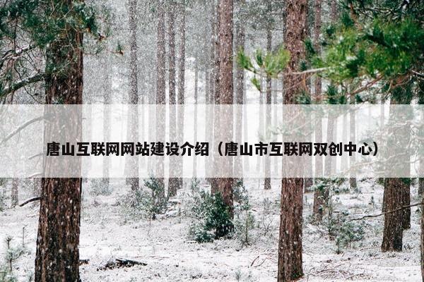 唐山互联网网站建设介绍（唐山市互联网双创中心）