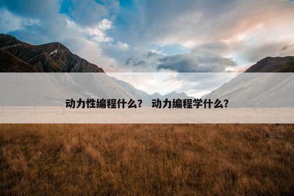 动力性编程什么？ 动力编程学什么？