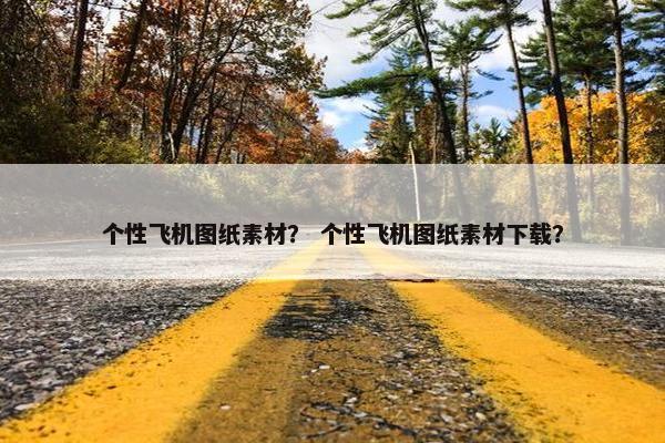 个性飞机图纸素材？ 个性飞机图纸素材下载？
