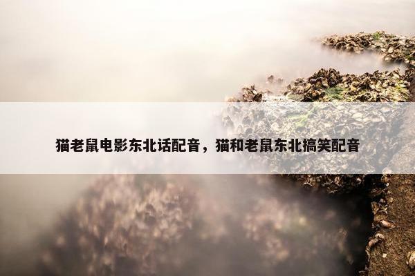 猫老鼠电影东北话配音，猫和老鼠东北搞笑配音