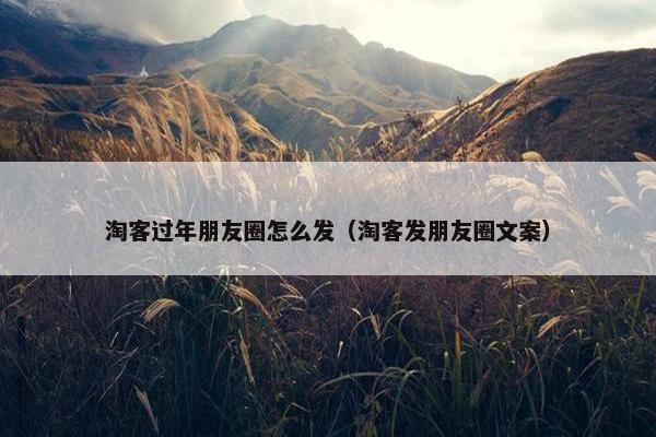 淘客过年朋友圈怎么发（淘客发朋友圈文案）