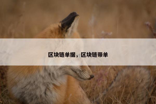 区块链单据，区块链带单