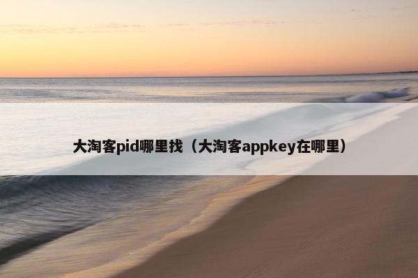 大淘客pid哪里找（大淘客appkey在哪里）