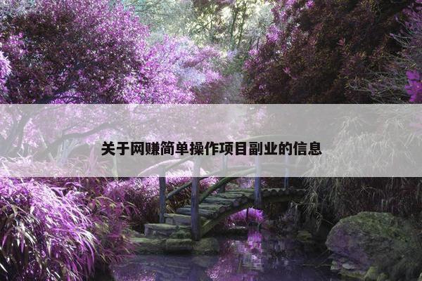 关于网赚简单操作项目副业的信息