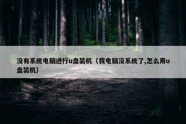 没有系统电脑进行u盘装机（我电脑没系统了,怎么用u盘装机）