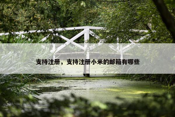 支持注册，支持注册小米的邮箱有哪些