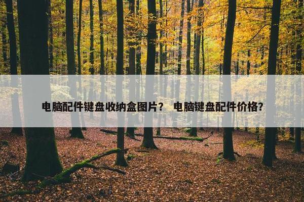 电脑配件键盘收纳盒图片？ 电脑键盘配件价格？