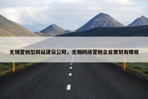 无锡营销型网站建设公司，无锡网络营销企业策划有哪些