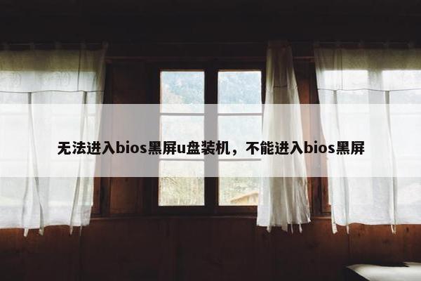 无法进入bios黑屏u盘装机，不能进入bios黑屏