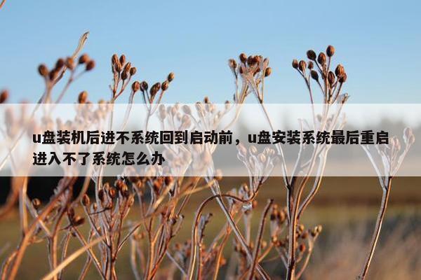 u盘装机后进不系统回到启动前，u盘安装系统最后重启进入不了系统怎么办