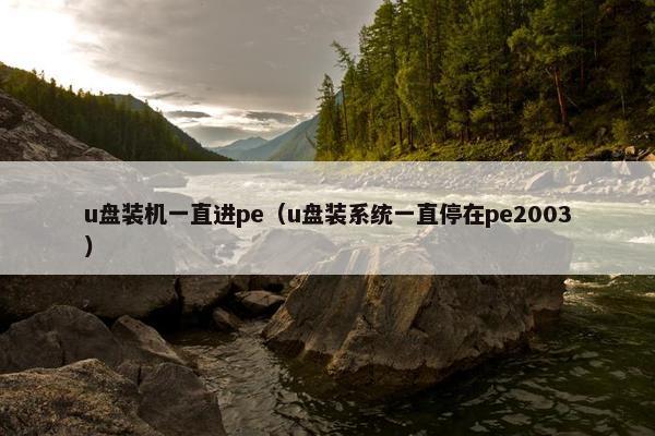u盘装机一直进pe（u盘装系统一直停在pe2003）