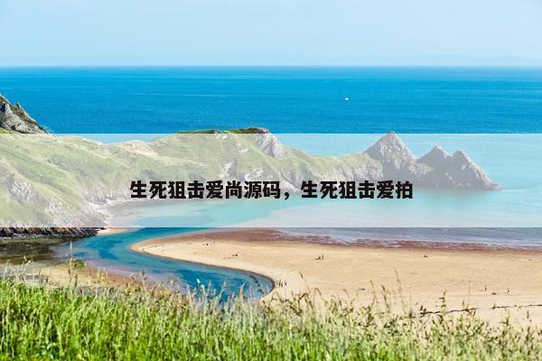 生死狙击爱尚源码，生死狙击爱拍