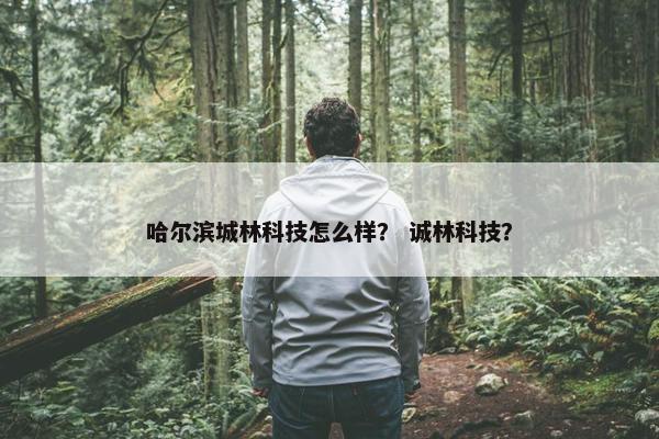 哈尔滨城林科技怎么样？ 诚林科技？