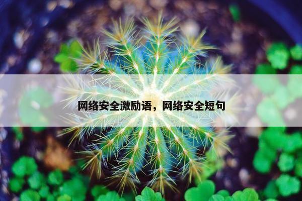 网络安全激励语，网络安全短句