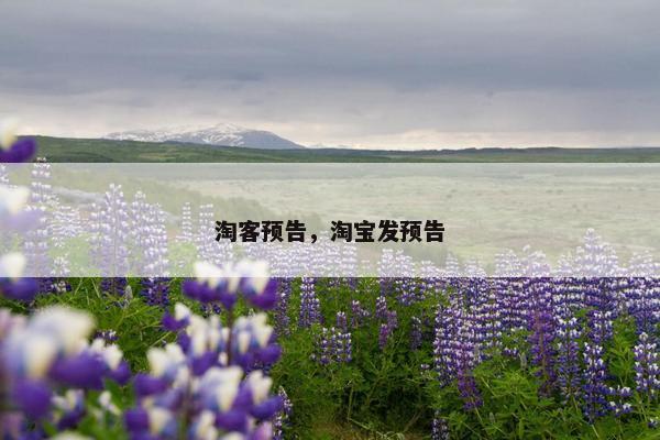 淘客预告，淘宝发预告