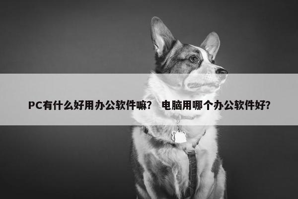 PC有什么好用办公软件嘛？ 电脑用哪个办公软件好？
