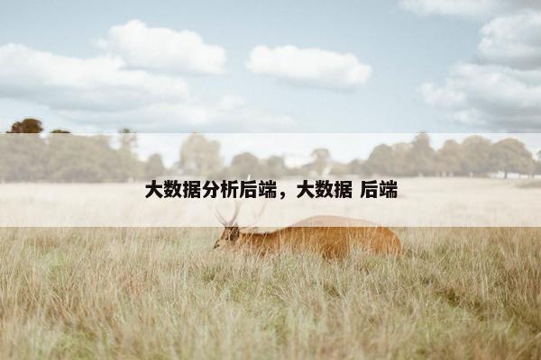 大数据分析后端，大数据 后端