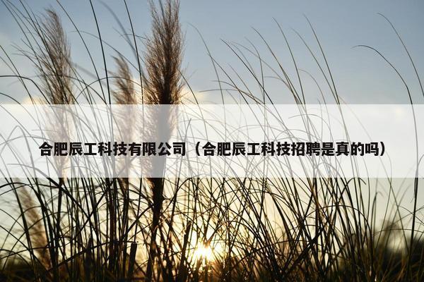合肥辰工科技有限公司（合肥辰工科技招聘是真的吗）