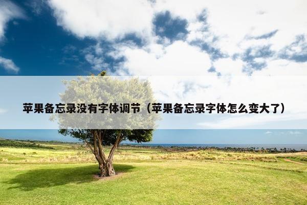 苹果备忘录没有字体调节（苹果备忘录字体怎么变大了）
