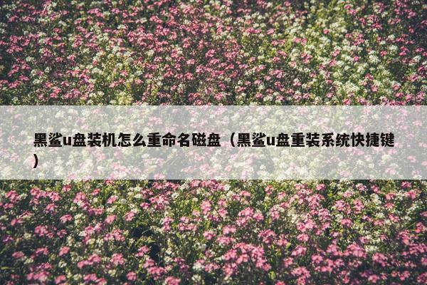 黑鲨u盘装机怎么重命名磁盘（黑鲨u盘重装系统快捷键）