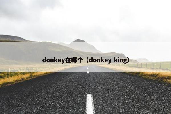 donkey在哪个（donkey king）