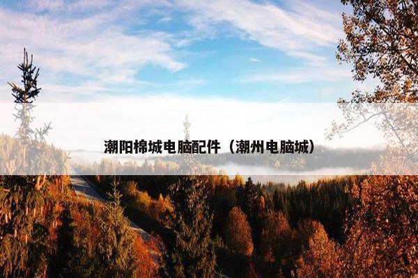 潮阳棉城电脑配件（潮州电脑城）
